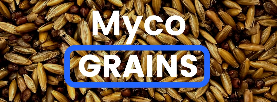 Myco-Grains