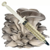 Gray Oyster - Culture Syringe 20CC