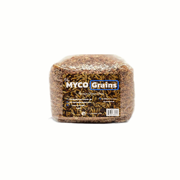 Myco Grains by Mycobuilder - 3lbs Sterilized Millet