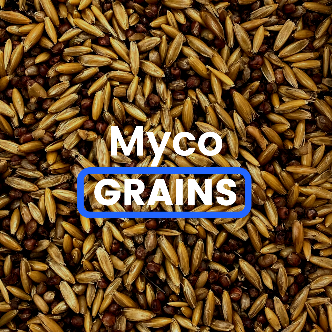 Myco-Grains