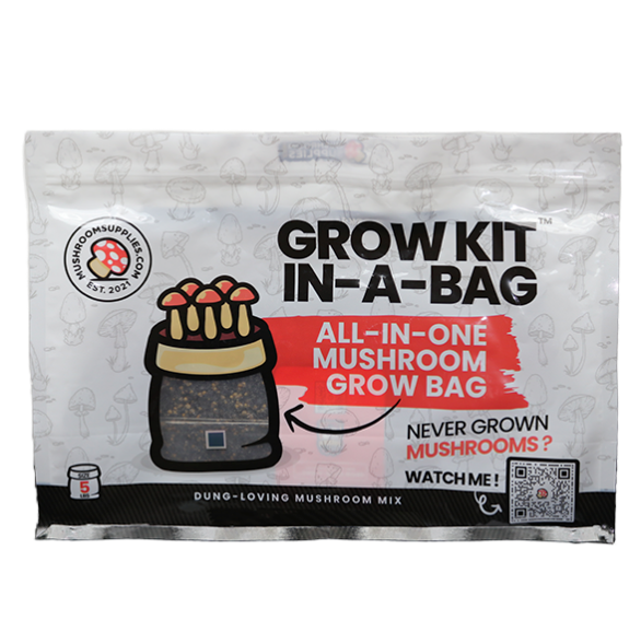 MUSHROOMSUPPLIES  Grow Kit In-A-Bag - 5 LB