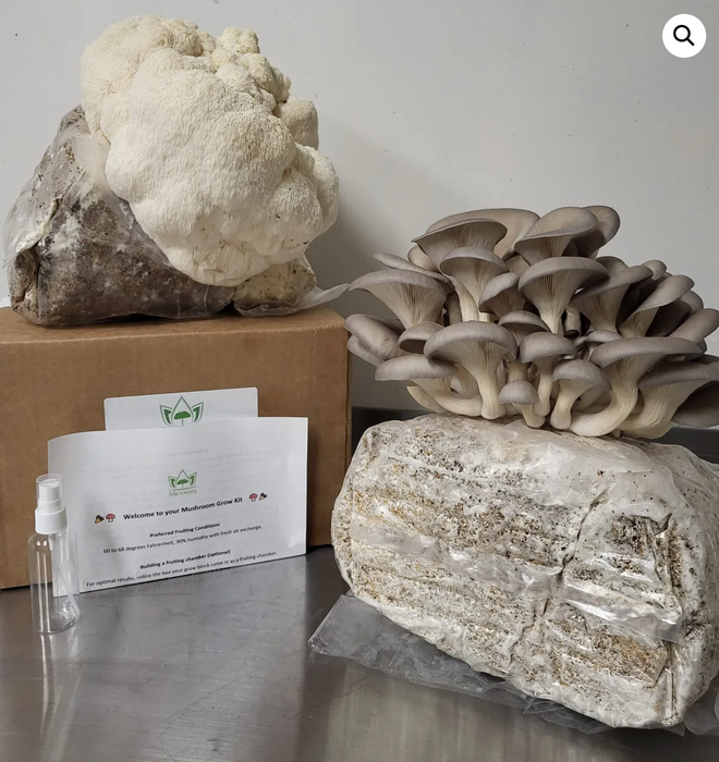 Lions Mane - Gourmet Mushroom Grow Kit