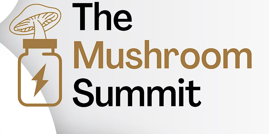 The Mushroom Summit