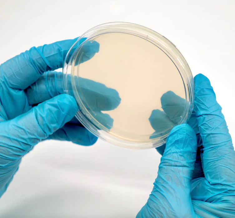 Pre-Poured Sterile Agar Plates for Mushroom Cultures