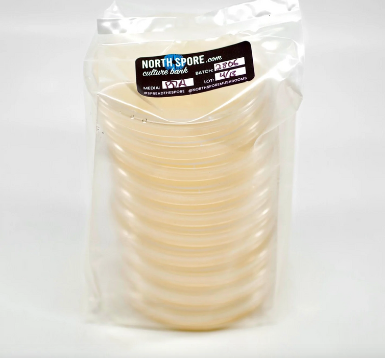 Pre-Poured Sterile Agar Plates for Mushroom Cultures